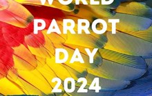 World Parrot Day 2024