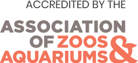 association of zoo