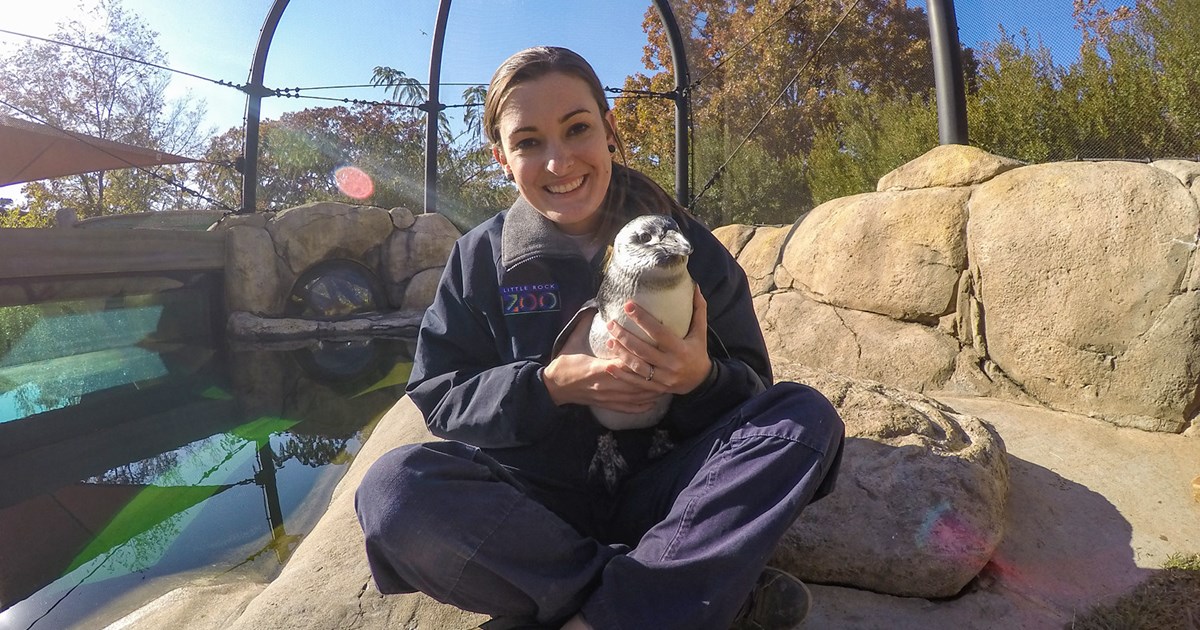 Up Close with Our Penguins