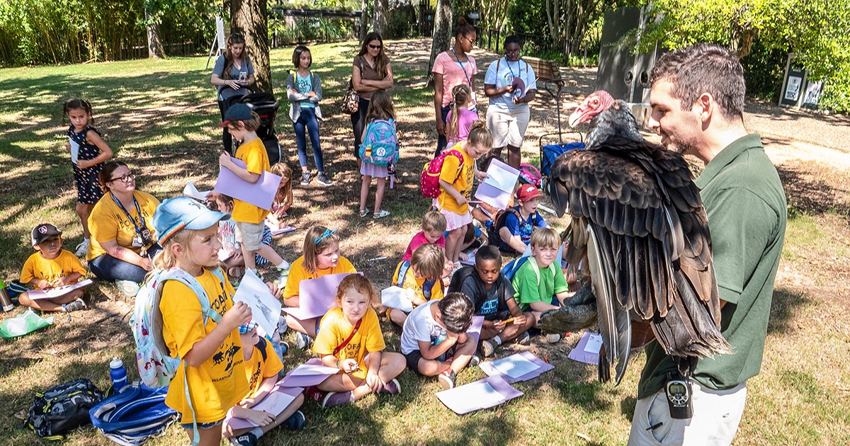Youth Group Learning About Vultures