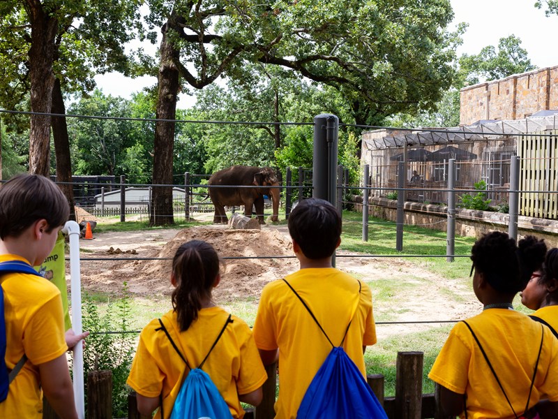 Animal Habitats
