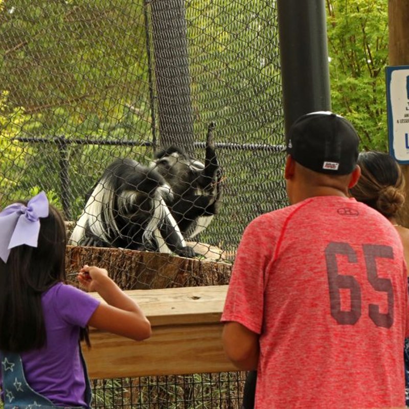 Animal Habitats