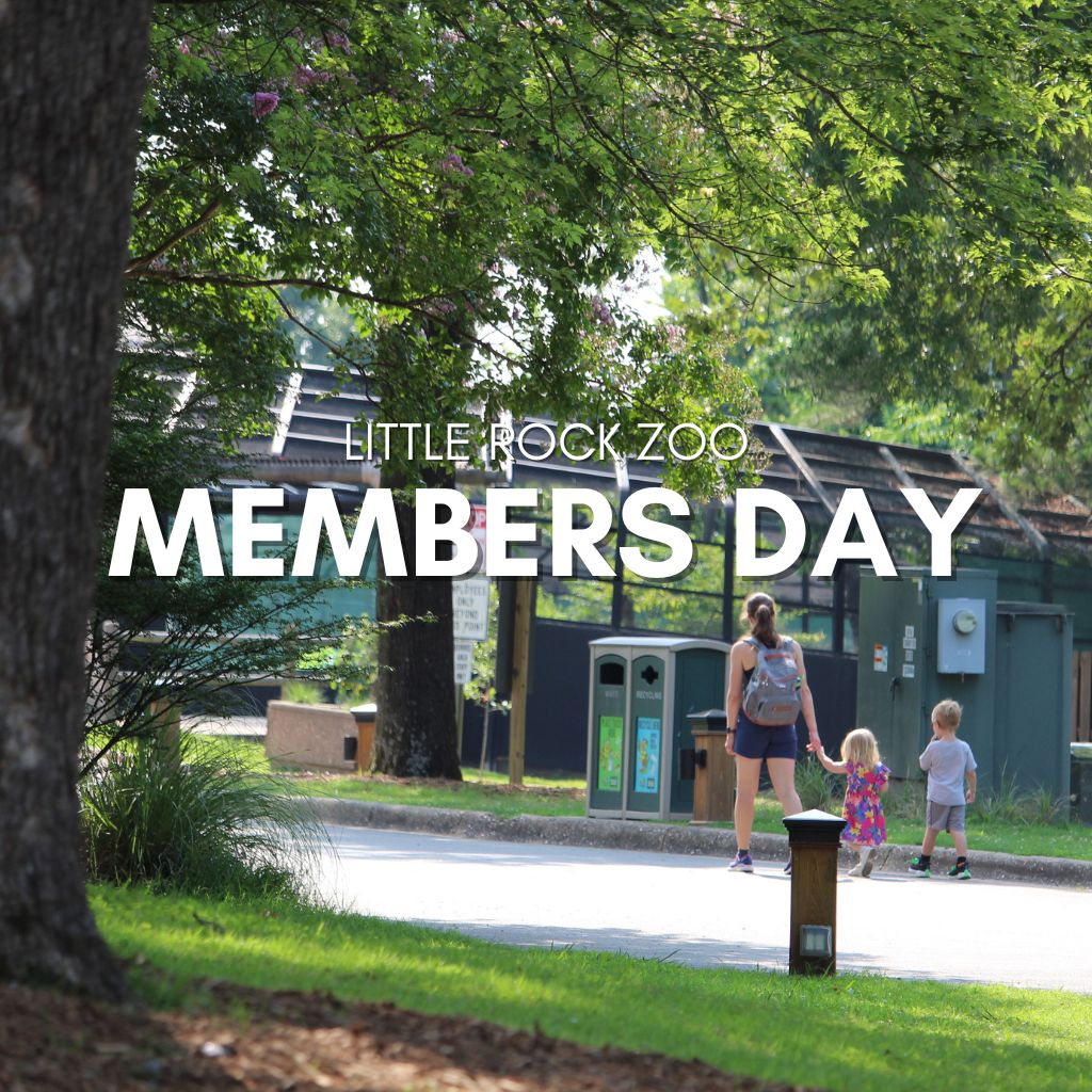 Members day 2025