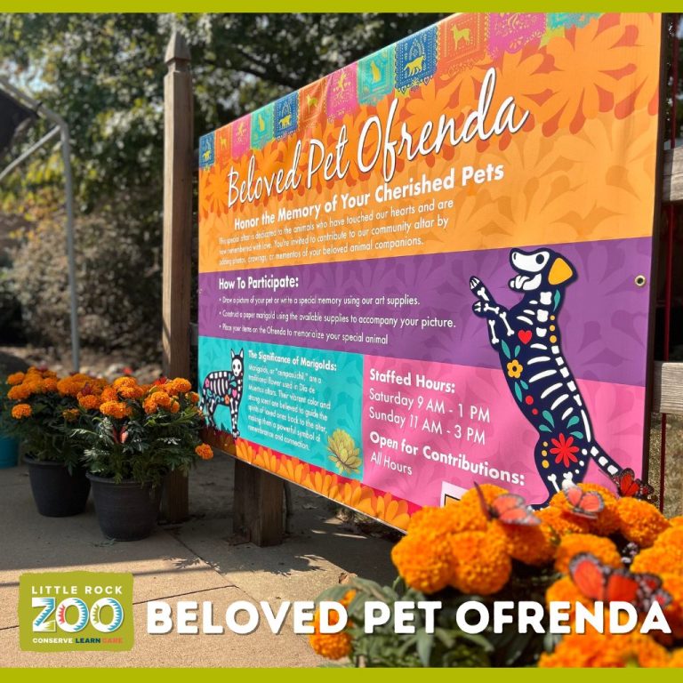 Beloved Pet Ofrenda 2025