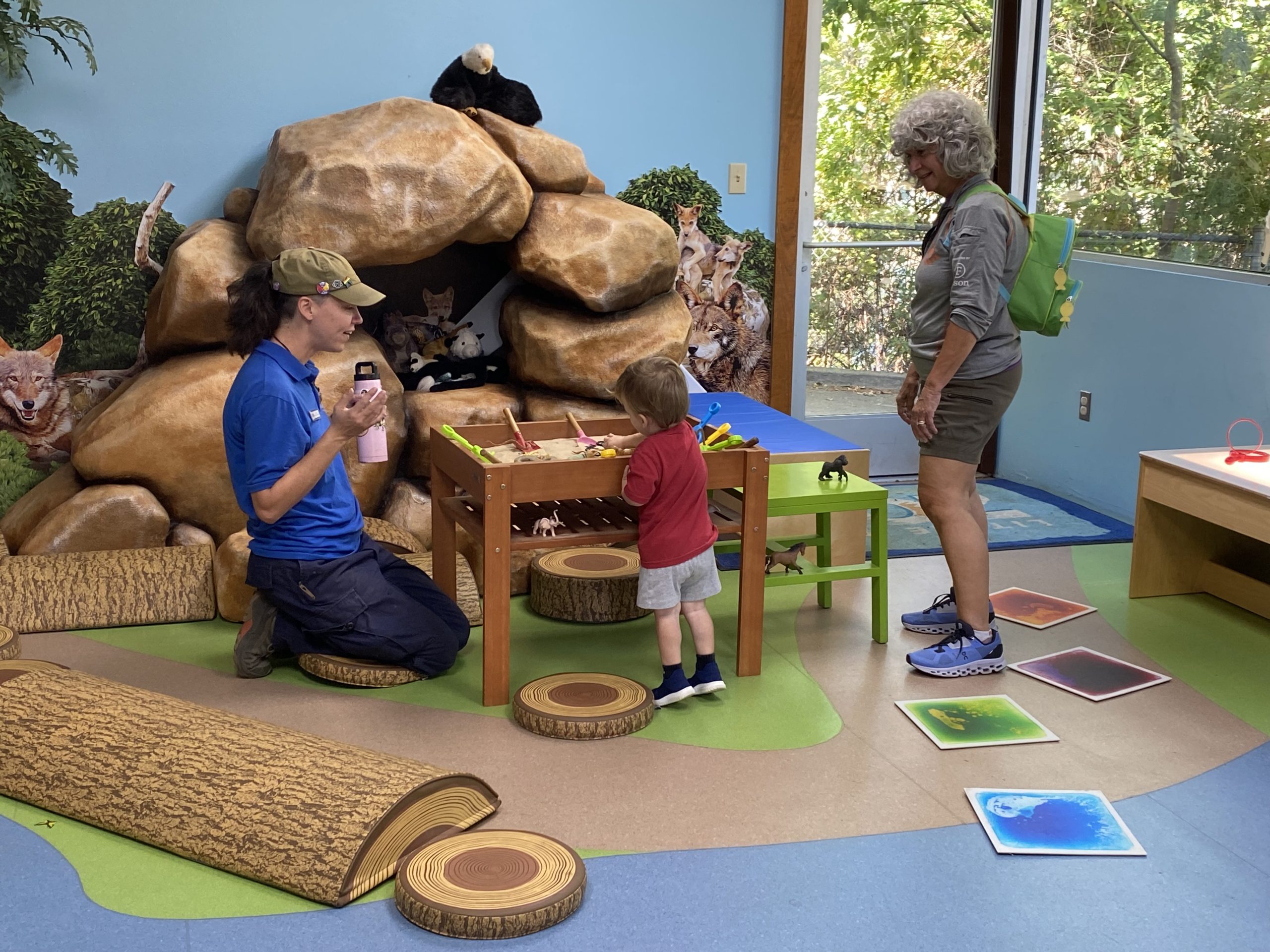 Animal Habitats