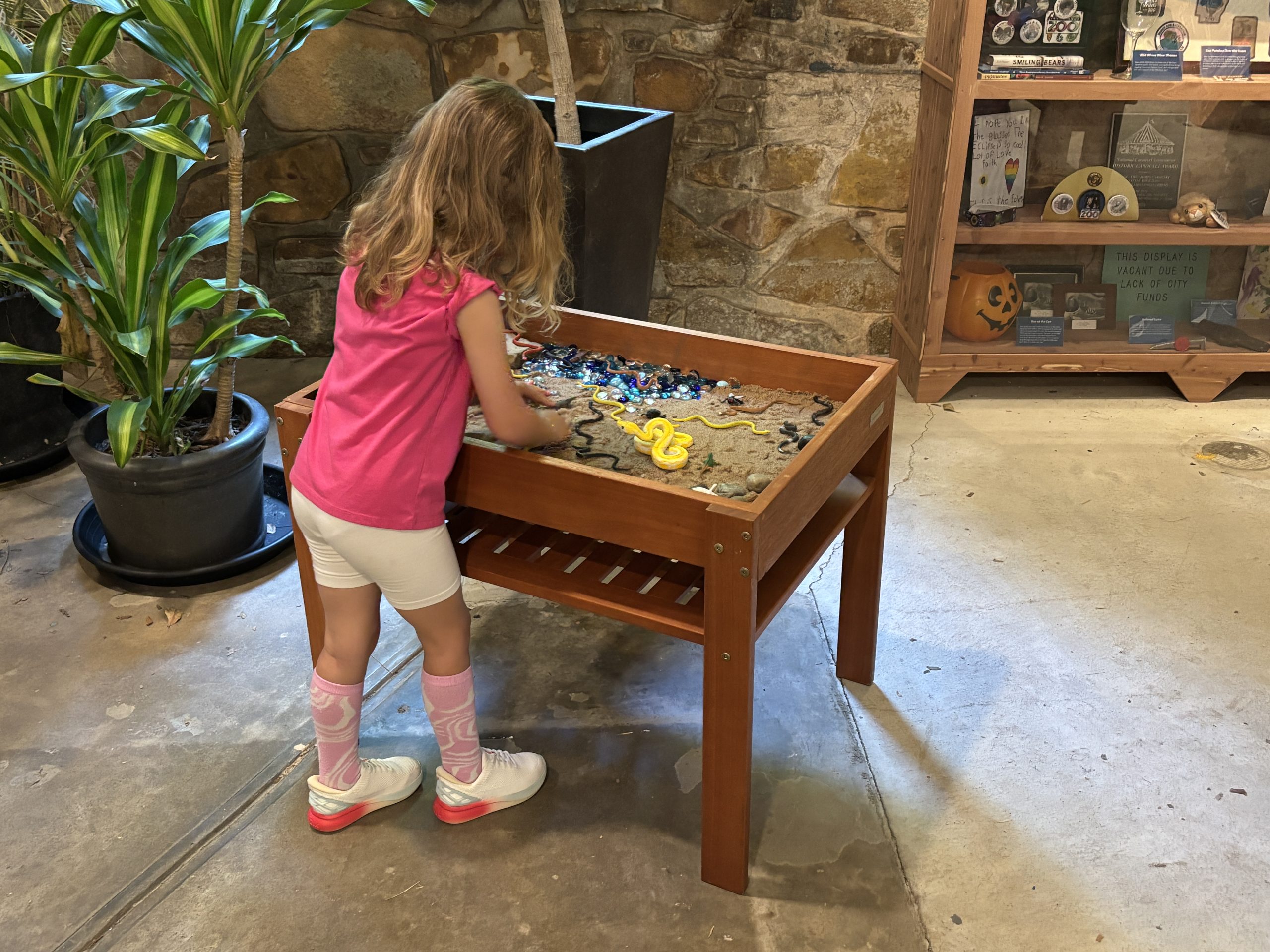 Animal Habitats