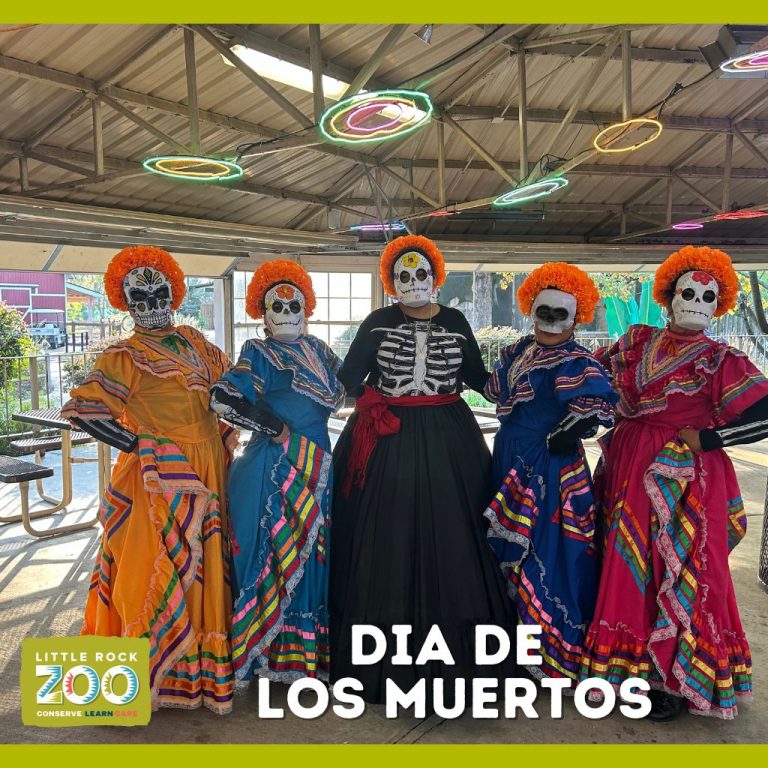 Dia de Muertos