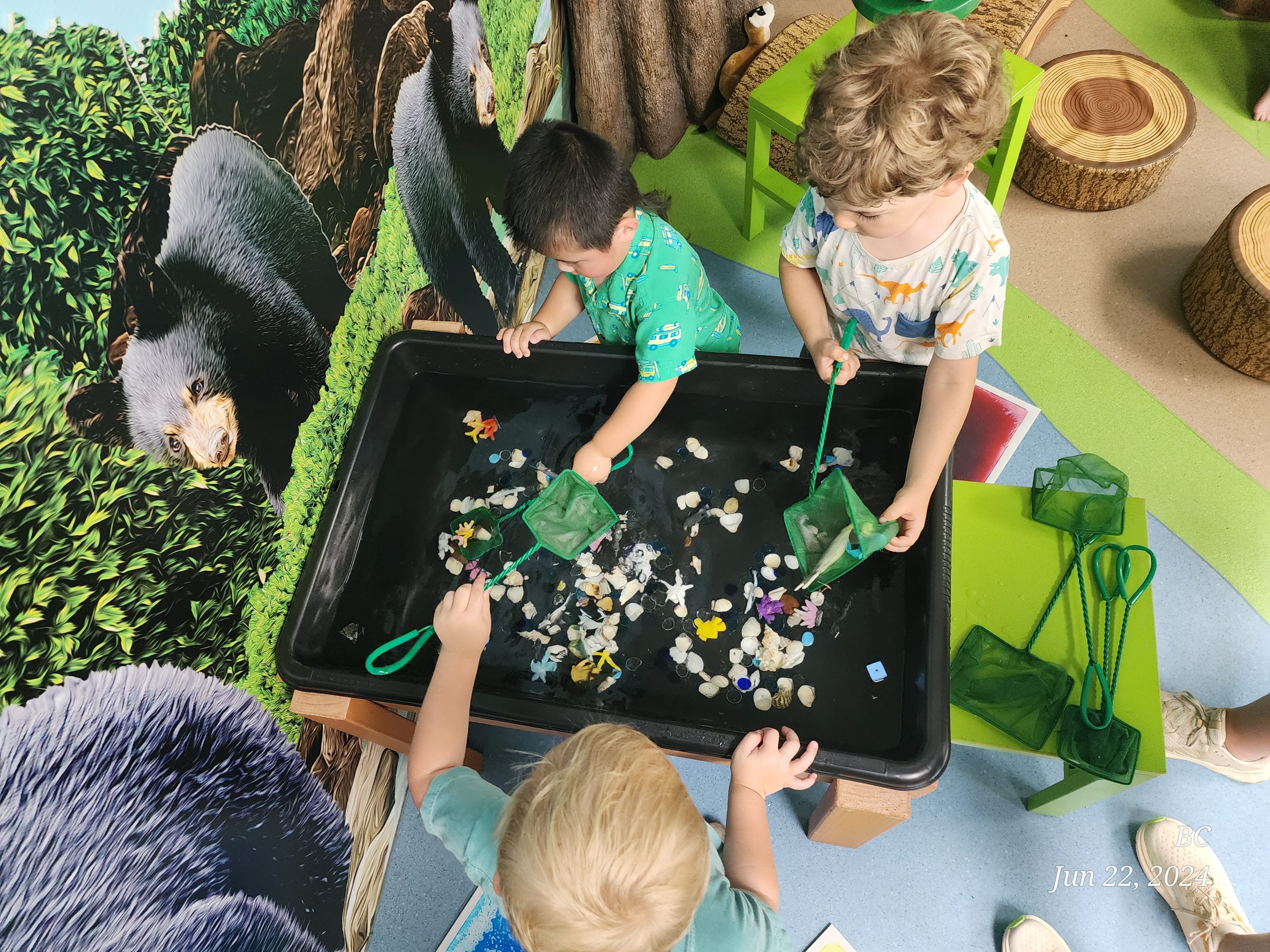 Animal Habitats